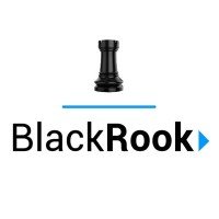BlackRook Media Logo