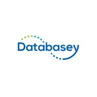 Databasey Logo