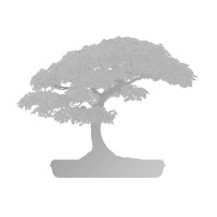 SageAxcess Logo