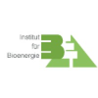 BEA Institut für Bioenergie GmbH Logo