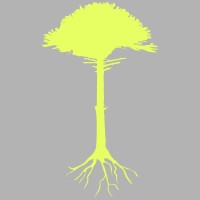 derooted Immersive Logo