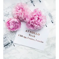 Attollo Lingerie Logo