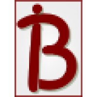 B3i Business Advisory Logo