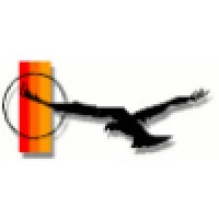 Lone Bird Studio LLC Logo