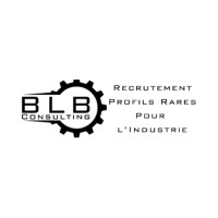 BLB CONSULTING Logo