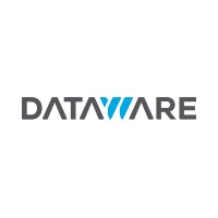 Dataware Consulting Logo