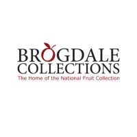 Brogdale Collections - Charity Logo