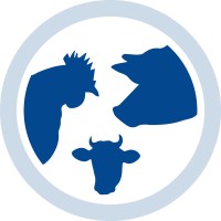 Droeshaut NV Logo