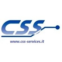 CSS SRL consulting solutions services Logo