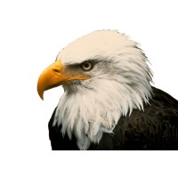 Kessler, DiGiovanni & Jesuele, LLC Logo