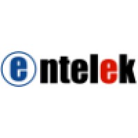 Entelek IT Services Logo