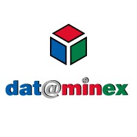 Dataminex Web Services Inc. Logo
