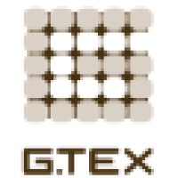 Geosynthetics Technologies Company Ltd. Logo