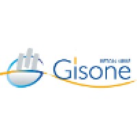 Groupe GISONE Logo
