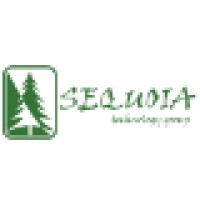 Sequoia Technology Group Logo