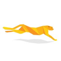 Gepard Soft Logo
