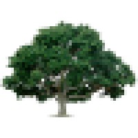 ABC Tree Service Logo