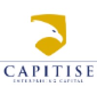 Capitise Capital Logo