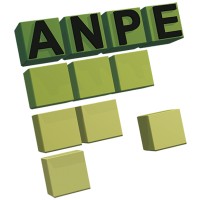 ANPE - Ass. Naz. Poliuretano Espanso rigido Logo