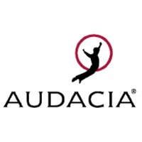 Audacia srl Logo