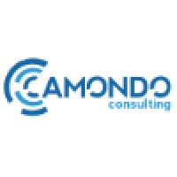 Camondo Consulting Logo
