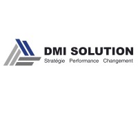 DMI Solution Logo
