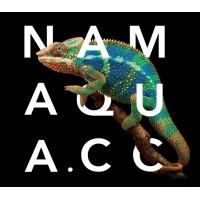 Namaqua Studio LTD Logo