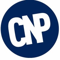 Chuchu Nwagu Productions Logo