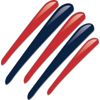 The New England Team Logo