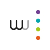 Wise Analytics Group Logo