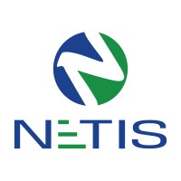 NETIS Group Logo