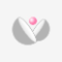 Pearls International Recruitment Agency Logo