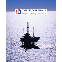 The Delton Group Logo
