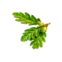 Oakmont Limited Logo