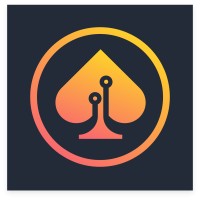 IT CASINO SOLUTIONS LLC Logo