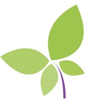 De Vlinderboom op school BV Logo