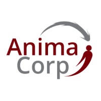 Animacorp Tecnologia Logo