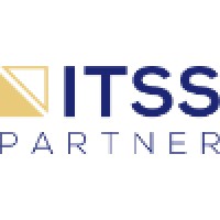 Information Technology Solution Services Partner Logo