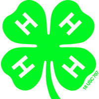 IOWA 4-H FOUNDATION Logo
