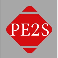 PE2S | Professional Electronic Security Systems Logo