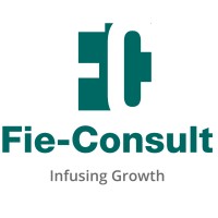 Fie-Consult Logo
