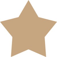 BASO GROUP, INC. Logo