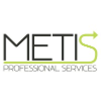 Metis Professional Services LLC Logo
