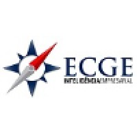 ECGE - Sistemas e Consultoria em Gestão Empresarial Logo