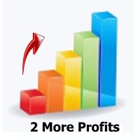 2 More Profits Logo