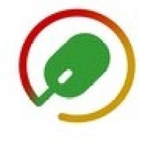 Paradigm Initiative Logo