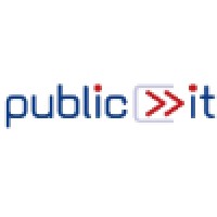 Public IT Limited Logo