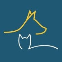 DORCHESTER PAWS Logo