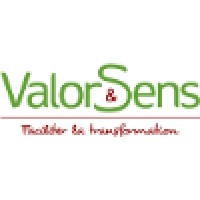 VALOR&SENS Logo
