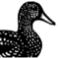 Duckworth Publishers Logo